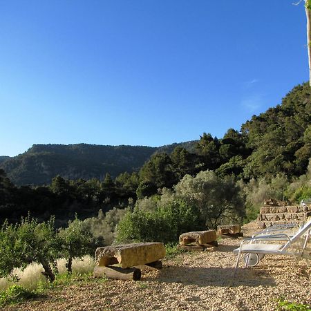 Mirabo De Valldemossa Bagian luar foto
